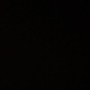 Meet your Posher, Forrest